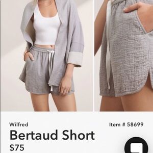 BERTAUD ARITZIA SHORTS